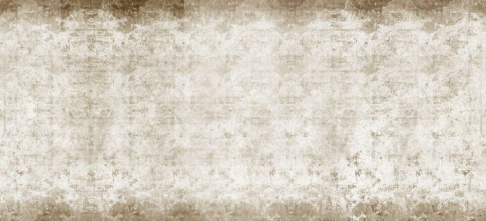 Carta Da Parati Napoleon - Inkiostro Bianco - immagine 4