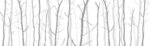 Carta Da Parati Trees 2014 - Inkiostro Bianco - immagine 3