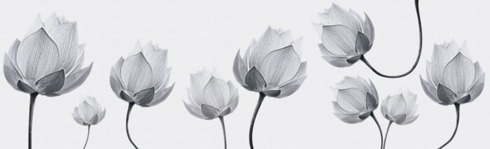 Carta Da Parati Diaphanous - Inkiostro Bianco - immagine 4