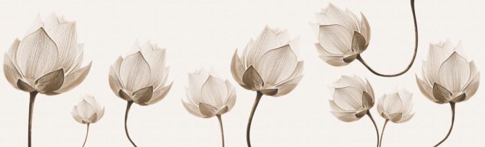 Carta Da Parati Diaphanous - Inkiostro Bianco - immagine 3