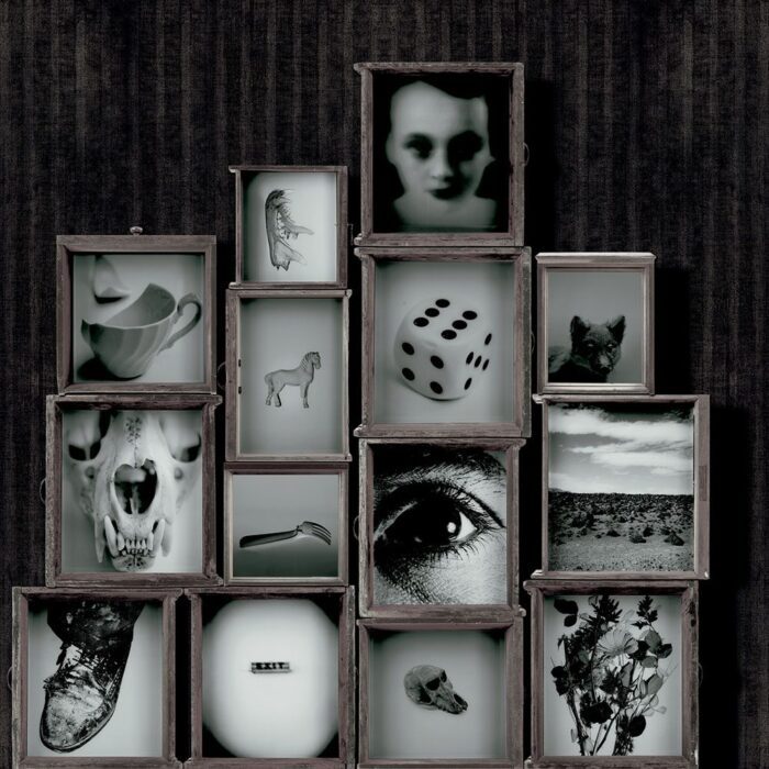 Carta Da Parati Drawers - Inkiostro Bianco - immagine 4