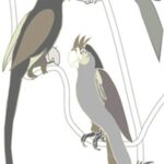 Carta Da Parati Funny Parrots - Wall&Decò - immagine 2
