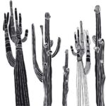 Carta Da Parati Desert Spirit - Wall&Decò - immagine 3