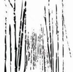 Carta Da Parati Bamboo - Wall&Decò - immagine 3