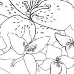 Carta Da Parati Underground Lily- Wall&Decò - immagine 2