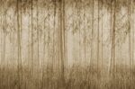 Carta da Parati Sauvage - Londonart - immagine 4