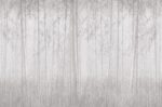 Carta da Parati Sauvage - Londonart - immagine 2