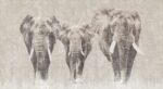 Carta da Parati Africa - Londonart - immagine 2