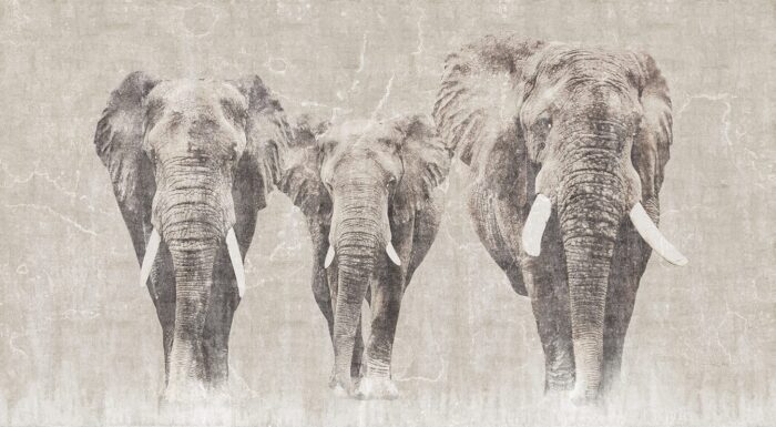 Carta da Parati Africa - Londonart - immagine 2