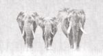 Carta da Parati Africa - Londonart - immagine 3