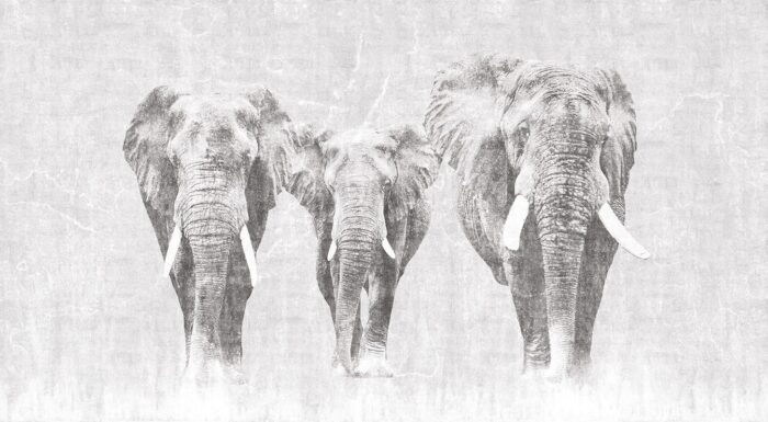 Carta da Parati Africa - Londonart - immagine 3