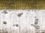 Carta da Parati Closer- Londonart - immagine 4