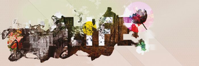 Carta da Parati Life Is Peachy - Londonart - immagine 2