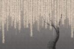 Carta da Parati Willow - Londonart - immagine 2