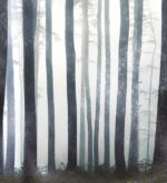 Carta da Parati In The Absense Of The Truth - Londonart - immagine 3