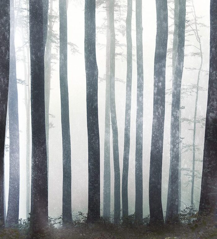 Carta da Parati In The Absense Of The Truth - Londonart - immagine 3