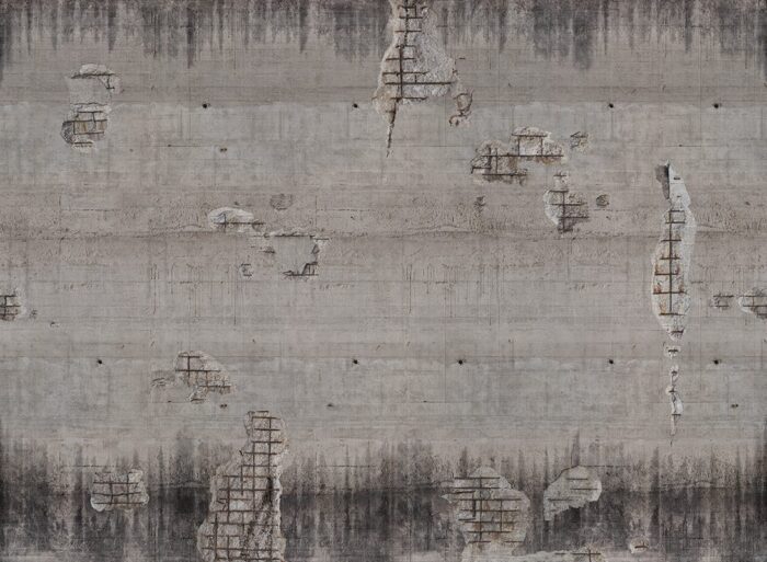 Carta da Parati Alexander - Londonart - immagine 7