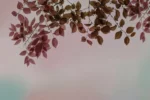 Carta Da Parati Amour - Glamora - immagine 5
