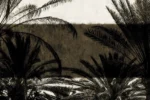 Carta Da Parati Jamala - Glamora - immagine 7