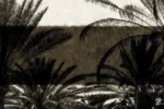 Carta Da Parati Jamala - Glamora - immagine 8