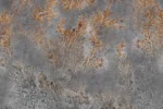 Carta Da Parati Octocorallia - Glamora - immagine 7