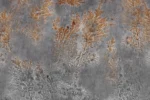 Carta Da Parati Octocorallia - Glamora - immagine 8