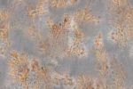 Carta Da Parati Octocorallia - Glamora - immagine 6