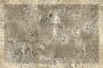 Carta Da Parati Octocorallia - Glamora - immagine 9