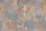 Carta Da Parati Octocorallia - Glamora - immagine 4