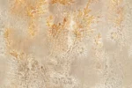 Carta Da Parati Octocorallia - Glamora - immagine 2