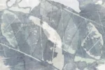 Carta Da Parati Salix - Glamora - immagine 4