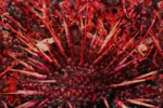 Carta Da Parati Spin - Glamora - immagine 2