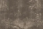 Carta Da Parati Oasis - Glamora - immagine 3