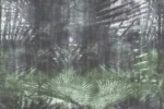Carta Da Parati Oasis - Glamora - immagine 7