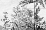 Carta Da Parati Bosco Silente - Glamora - immagine 6