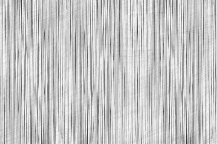 Carta Da Parati Bosco Silente - Glamora - immagine 7