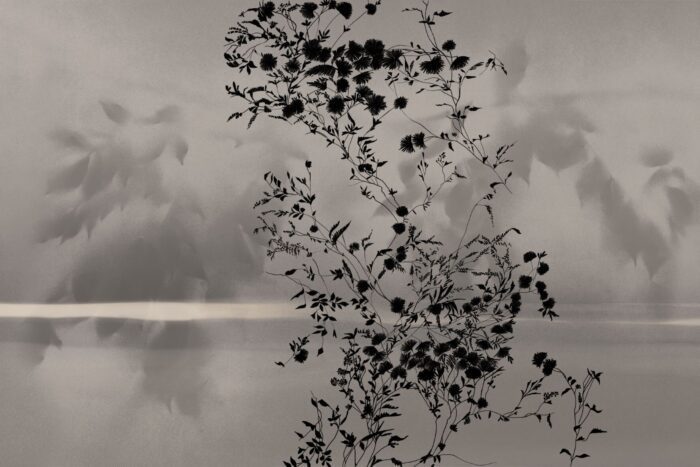 Carta Da Parati Spoon River - Glamora - immagine 5