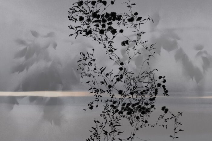 Carta Da Parati Spoon River - Glamora - immagine 8