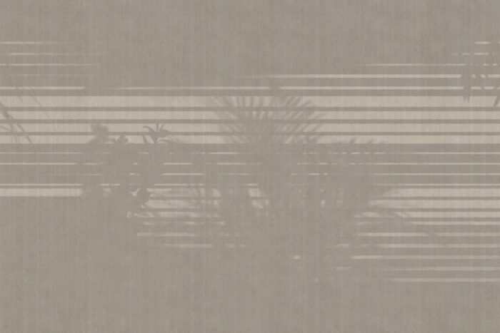 Carta Da Parati Morning-Light - Glamora - immagine 4