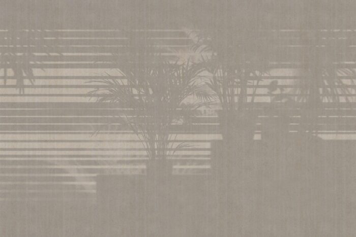Carta Da Parati Morning-Light - Glamora - immagine 3