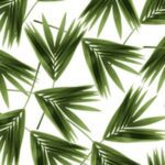 Carta Da Parati Jungle - Wall&Decò - immagine 5