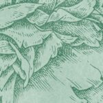 Carta Da Parati  Herbarium - Inkiostro Bianco - immagine 4
