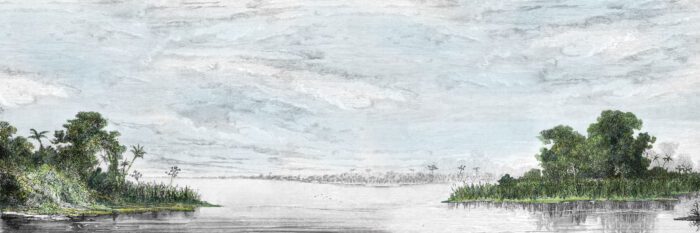 Carta Da Parati Lake - Inkiostro Bianco - immagine 4