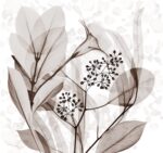 Carta Da Parati Stame - Inkiostro Bianco - immagine 4