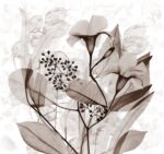 Carta Da Parati Stame - Inkiostro Bianco - immagine 7