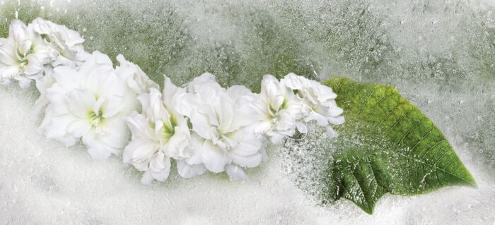 Carta Da Parati Iceflor - Inkiostro Bianco - immagine 3