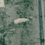 Carta Da Parati Mystic garden - Inkiostro Bianco - immagine 2
