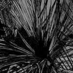 Carta Da Parati Find me - Inkiostro Bianco - immagine 4