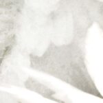 Carta Da Parati Wings - Inkiostro Bianco - immagine 2