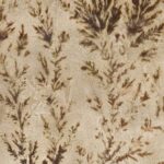 Carta Da Parati Dentritus - Inkiostro Bianco - immagine 4